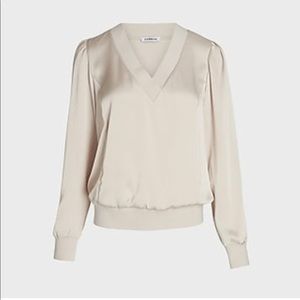 NWT Women Express Satin Ribbed Trim V Neck Top